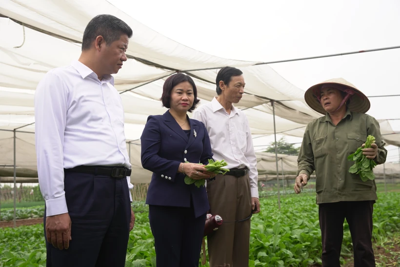 Hà Nội phấn đấu đến hết năm 2021 thu nhập người dân nông thôn đạt 60 triệu đồng/người/năm
