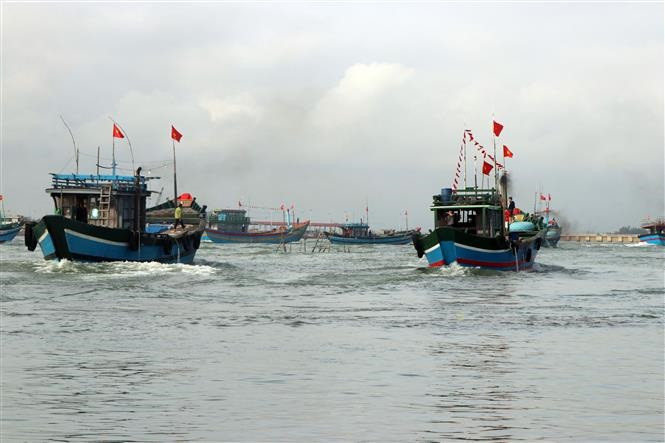 Các tàu cá vươn khơi đánh bắt đầu Xuân mới. Ảnh: Đỗ Trưởng - TTXVN