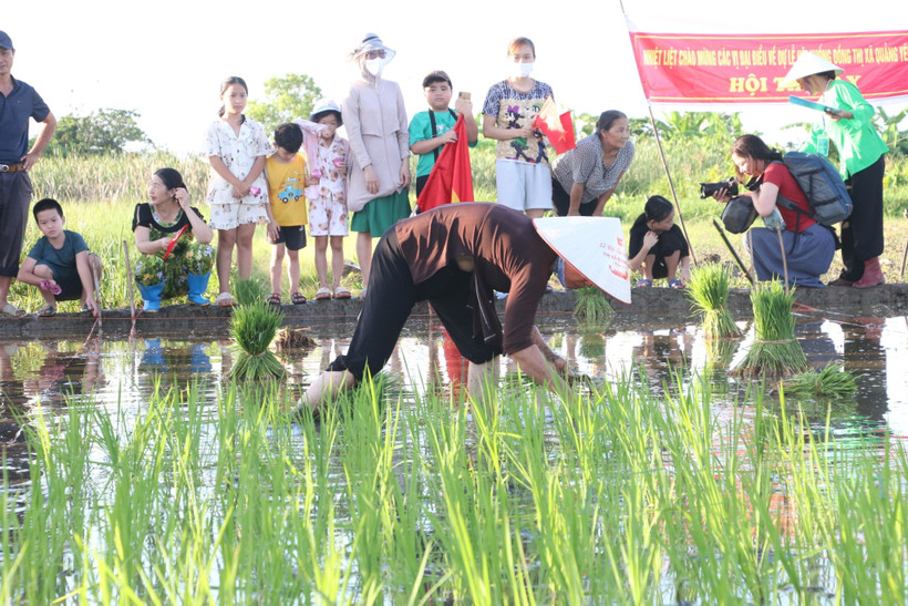 Hội thi cấy diễn ra tại khu vực ruộng trước cửa đình Cốc với sự cổ vũ sôi nổi của người dân. Ảnh: Thanh Vân - TTXVN