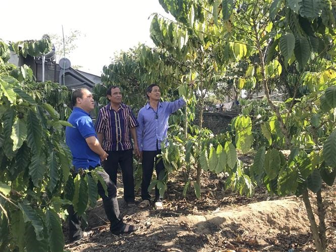 Ông A In truyền đạt kinh nghiệm trồng cây cà phê cho các hộ gia đình tại làng O. Ảnh: Khoa Chương - TTXVN