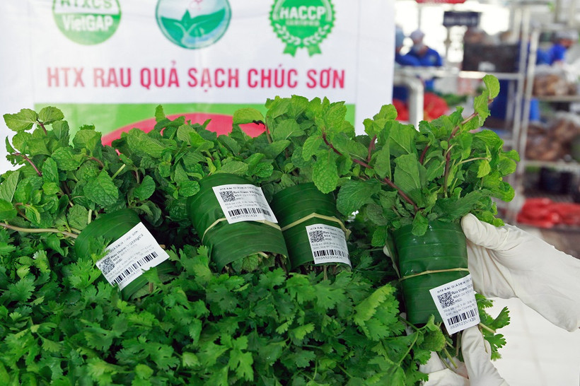 Rau quả sạch Chúc Sơn - sản phẩm OCOP của huyện Chương Mỹ