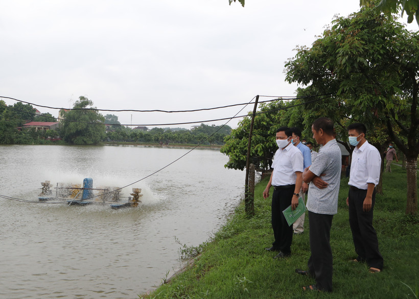Phó Giám đốc Sở Nông nghiệp và Phát triển nông thôn Hà Nội Tạ Văn Tường (ngoài cùng bên trái) cùng Đoàn công tác của Trung tâm Khuyến nông Hà Nội đi thực tế cơ sở tìm hiểu các mô hình khuyến nông đem lại hiệu quả kinh tế cao tại xã Liên Châu, huyện Thanh 