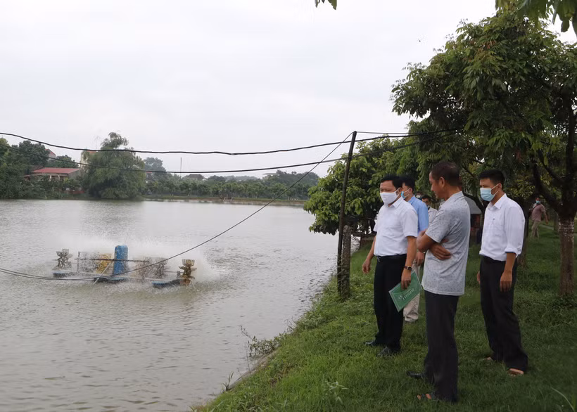 Phó Giám đốc Sở Nông nghiệp và Phát triển nông thôn Hà Nội Tạ Văn Tường (ngoài cùng bên trái) cùng Đoàn công tác của Trung tâm Khuyến nông Hà Nội đi thực tế cơ sở tìm hiểu các mô hình khuyến nông đem lại hiệu quả kinh tế cao tại xã Liên Châu, huyện Thanh 