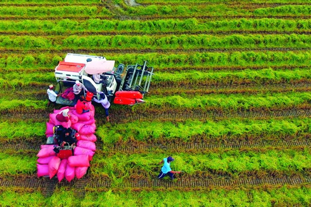 Trà Vinh nâng cao đời sống đồng bào Khmer, góp phần xây dựng nông thôn mới