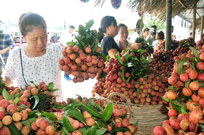 Sản phẩm nông nghiệp trên địa bàn Hà Nội rất phong phú, đáp ứng nhu cầu về chất lượng ngày càng cao của người tiêu dùng.