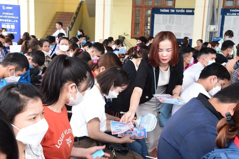 Hoạt động tư vấn, giới thiệu việc làm tại Trung tâm Dịch vụ việc làm tỉnh Tuyên Quang. Ảnh: TTXVN phát