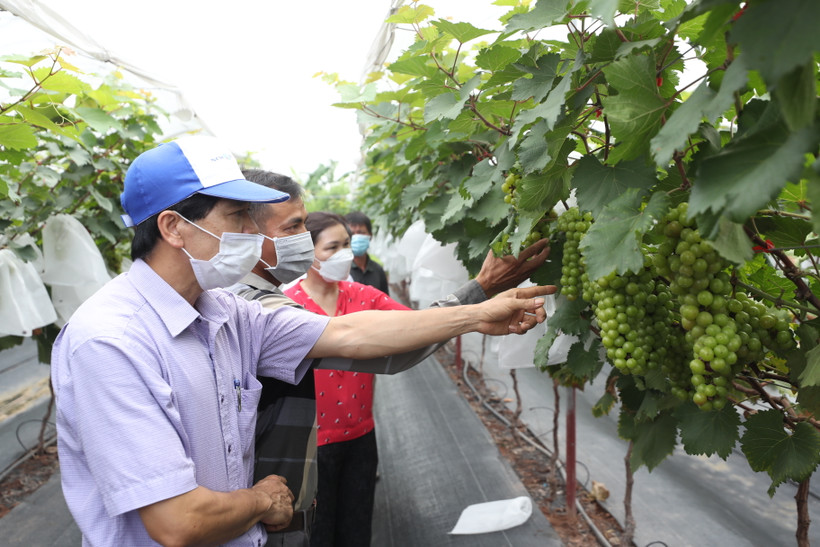 Nét đẹp nông thôn mới nâng cao Hà Nội