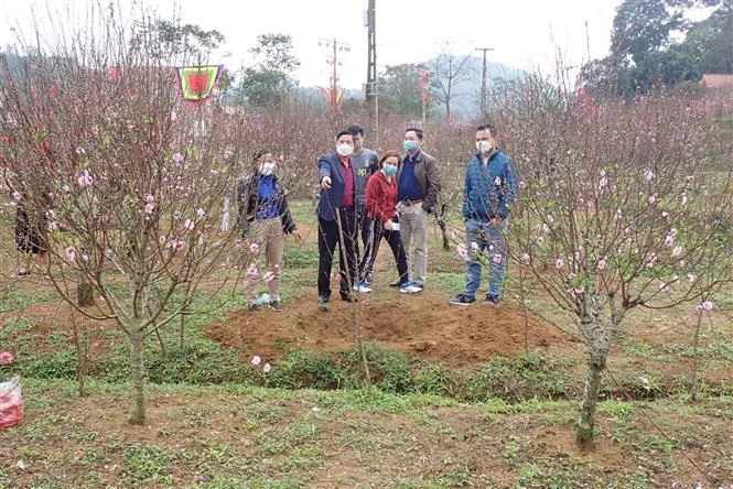 Biên giới xứ Lạng hân hoan đón chào Xuân mới