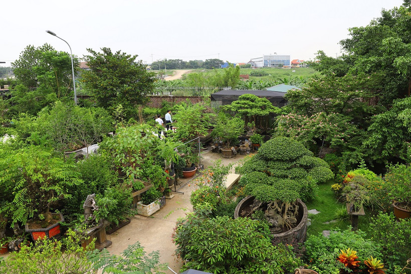 Trên cơ sở quy hoạch chung của thành phố, Hà Nội thúc đẩy các mô hình nông nghiệp đô thị theo hướng sinh thái, bền vững, nâng cao đời sống cho người nông dân.