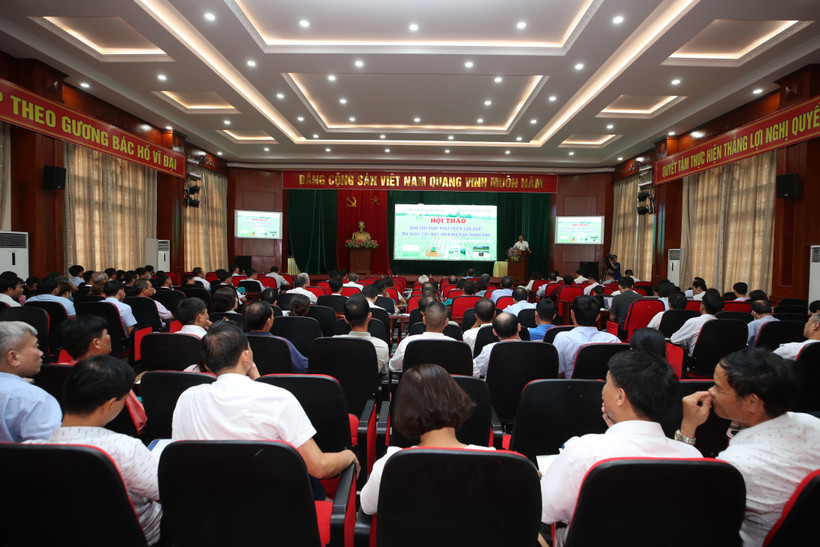 Hà Nội bàn giải pháp phát triển sản xuất mạ khay, cấy máy trên địa bàn thành phố