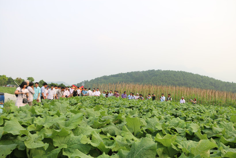 Hà Nội xây dựng nông thôn mới ở vùng dân tộc và miền núi