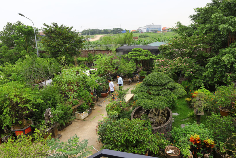 Phát huy thế mạnh địa phương, xã Hồng Vân (huyện Thường Tín, Hà Nội) đã chuyển hướng từ sản xuất nông nghiệp sang phát triển du lịch sinh thái làng nghề.