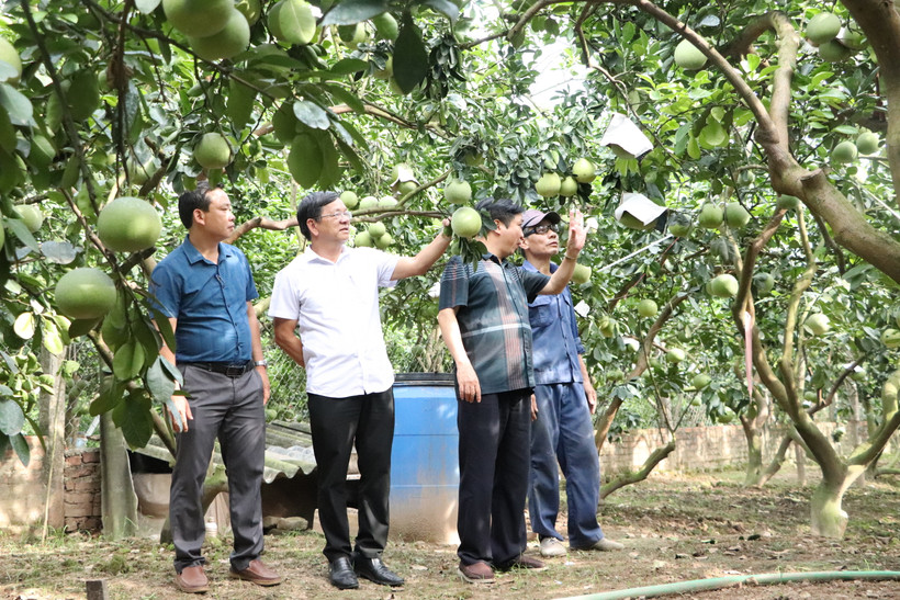 Yên Sở hướng tới xã nông thôn mới nâng cao