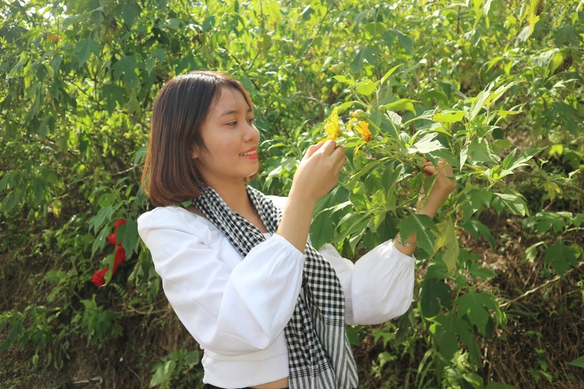 Các trang trại đồng quê ở huyện Ba Vì (Hà Nội) mang lại cho du khách nhiều trải nghiệm thú vị như: Trang trại Đồng Quê (Bavi Homestead), Trung tâm nghiên cứu bò và đồng cỏ Ba Vì, Gia Trịnh Ecofarm hay Nông trang Vui Vẻ...