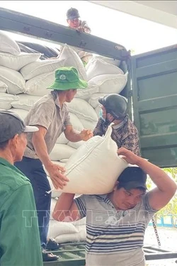 Phú Thọ: Thông báo lịch nghỉ Tết, cấp bổ sung gạo hỗ trợ học sinh vùng khó khăn