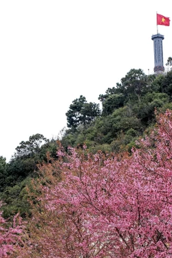 Thể hiện rõ sự kế thừa và đổi mới trong tư duy lãnh đạo của Đảng