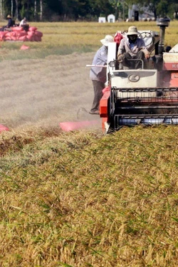 Lợi nhuận tăng thêm 1,5 triệu đồng/ha/vụ từ cơ giới hóa canh tác lúa