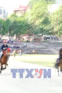 Festival mùa đông Bắc Hà mang đến nhiều trải nghiệm độc đáo