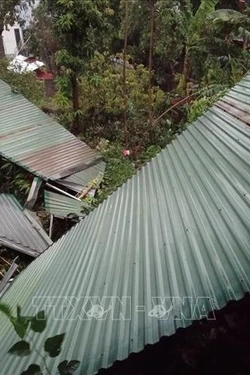 Cảnh báo dông, lốc, mưa đá và mưa lớn cục bộ tại Sơn La