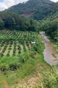Kon Tum: Nhiều sai phạm ở thủy điện nhỏ