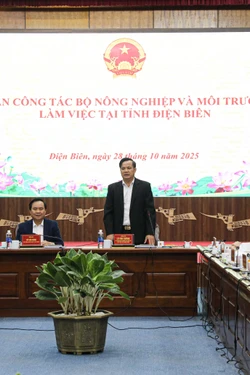 Điện Biên đề nghị bố trí thêm vốn nâng cấp tuyến đường kết nối vùng tái định cư