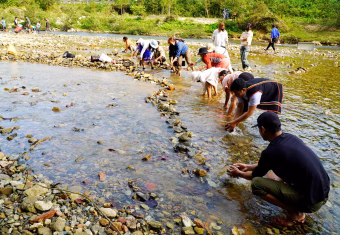 Người dân tập trung về khu vực sông Trường bê đá đắp đập ngăn dòng chảy để bắt cá. Ảnh: Lê Phước Ngọc - TTXVN