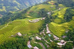 Mùa vàng Thông Nguyên - Bản giao hòa giữa sắc màu văn hóa và thiên nhiên