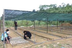 Nâng mức thu nhập của đồng bào dân tộc thiểu số 40 triệu đồng/người/năm