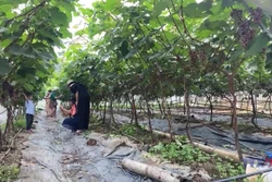 Điện Biên phát triển mô hình du lịch xanh