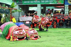 Rực rỡ sắc màu văn hóa dân tộc trong chuỗi sự kiện "Vui Tết độc lập"