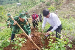 Hỗ trợ cây giống, giúp hộ nghèo vùng biên giới phát triển kinh tế