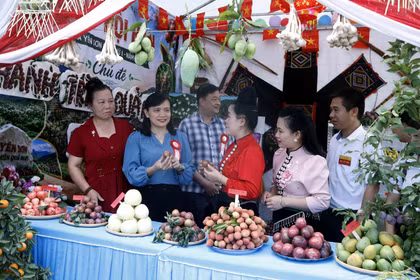 Khai mạc 'Ngày Hội mận gắn với Hội thi văn hóa, thể thao lần thứ nhất, năm 2026'