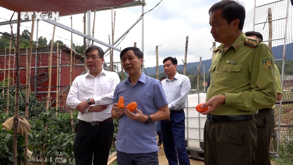 Nghệ An: Đột Phá trong Giảm Nghèo và Phát Triển Sinh Kế