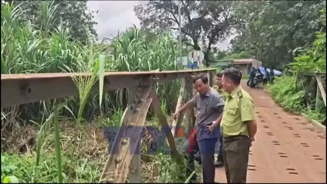 Truy tìm động vật lạ nghi cá sấu tại xã biên giới