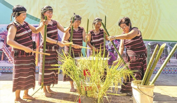 Lễ hội Sayangva (mừng lúa mới) của đồng bào dân tộc Chơ Ro. Ảnh: TTXVN phát le-hoi-230725-1.jpg