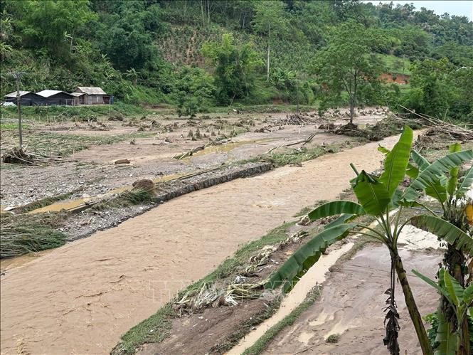 Diện tích lúa, ngô, bí xanh tại huyện Ba Bể bị vùi lấp, gẫy đổ. Ảnh: Vũ Hoàng Giang/TTXVN Chú thích ảnh