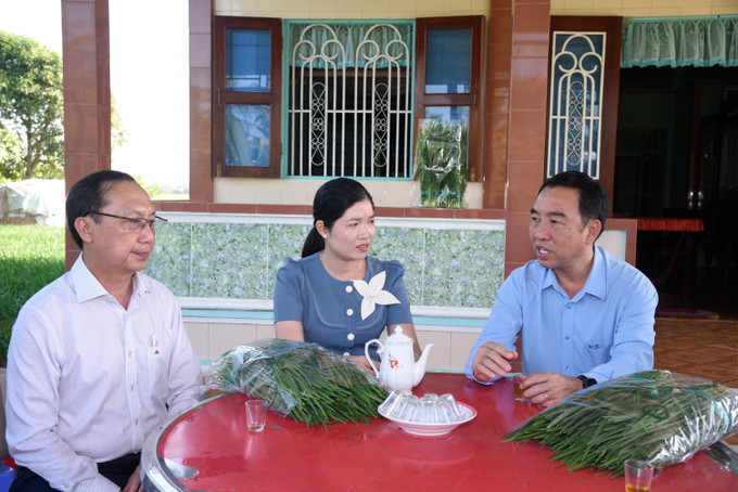 Chủ tịch UBND tỉnh Cà Mau Lữ Quang Ngời (phải) khảo sát thực tế hoạt động của hợp tác xã Dịch vụ nông nghiệp Hưng Thành Phát trồng hẹ tại ấp Quốc Kỷ, xã Hưng Hội.