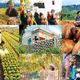 Mục tiêu giai đoạn 2016 – 2020: Giảm tỷ lệ hộ nghèo 1% - 1,5%/năm