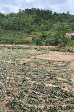 Bắc Kạn: Lũ quét, sạt lở đất đá gây thiệt hại hơn 45 tỷ đồng