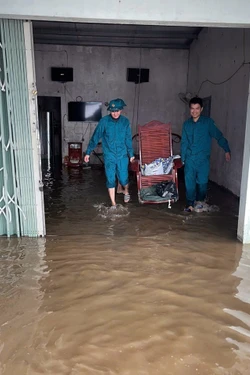 Kiểm tra, cảnh báo ngập lụt, sạt lở tại nhiều địa phương phía Tây tỉnh Lâm Đồng