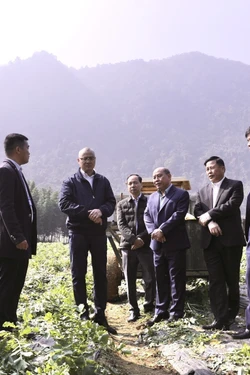 Rà soát, giải quyết khó khăn ở các xã vùng cao phù hợp với thực tiễn