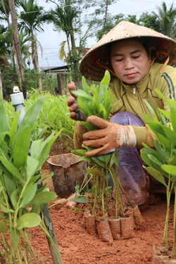 Thay đổi tư duy làm nông nghiệp của đồng bào vùng cao