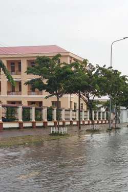 Khẩn trương khắc phục thiệt hại do mưa lớn, dông lốc ở Cà Mau