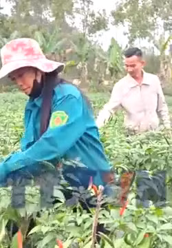 Nâng giá trị nông sản từ đổi mới tư duy sản xuất