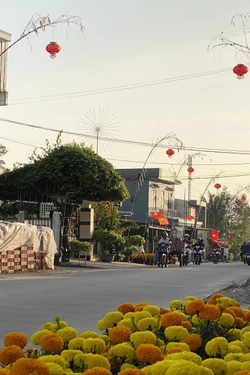 Gắn kết tình làng nghĩa xóm qua tục dựng cây nêu ngày Tết