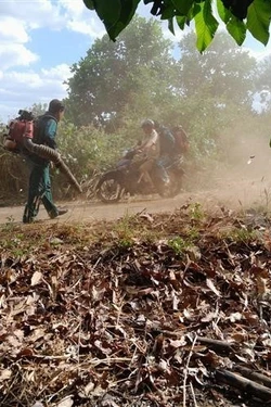 Ngăn nguy cơ xâm hại rừng ngay từ gốc