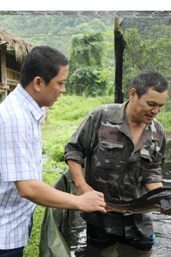 Không để chậm trễ khi thực hiện Chương trình phát triển kinh tế - xã hội vùng đồng bào dân tộc thiểu số và miền núi