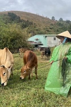 Đa dạng hóa sinh kế, phát triển mô hình giảm nghèo ở các xã khó khăn