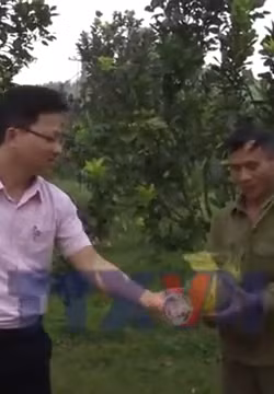 Vốn vay sản xuất giúp người dân vùng cao Thanh Hóa thoát nghèo