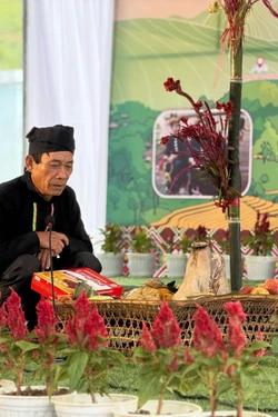 Đồng bào Cống nơi biên giới Nậm Kè vui Tết Hoa mào gà